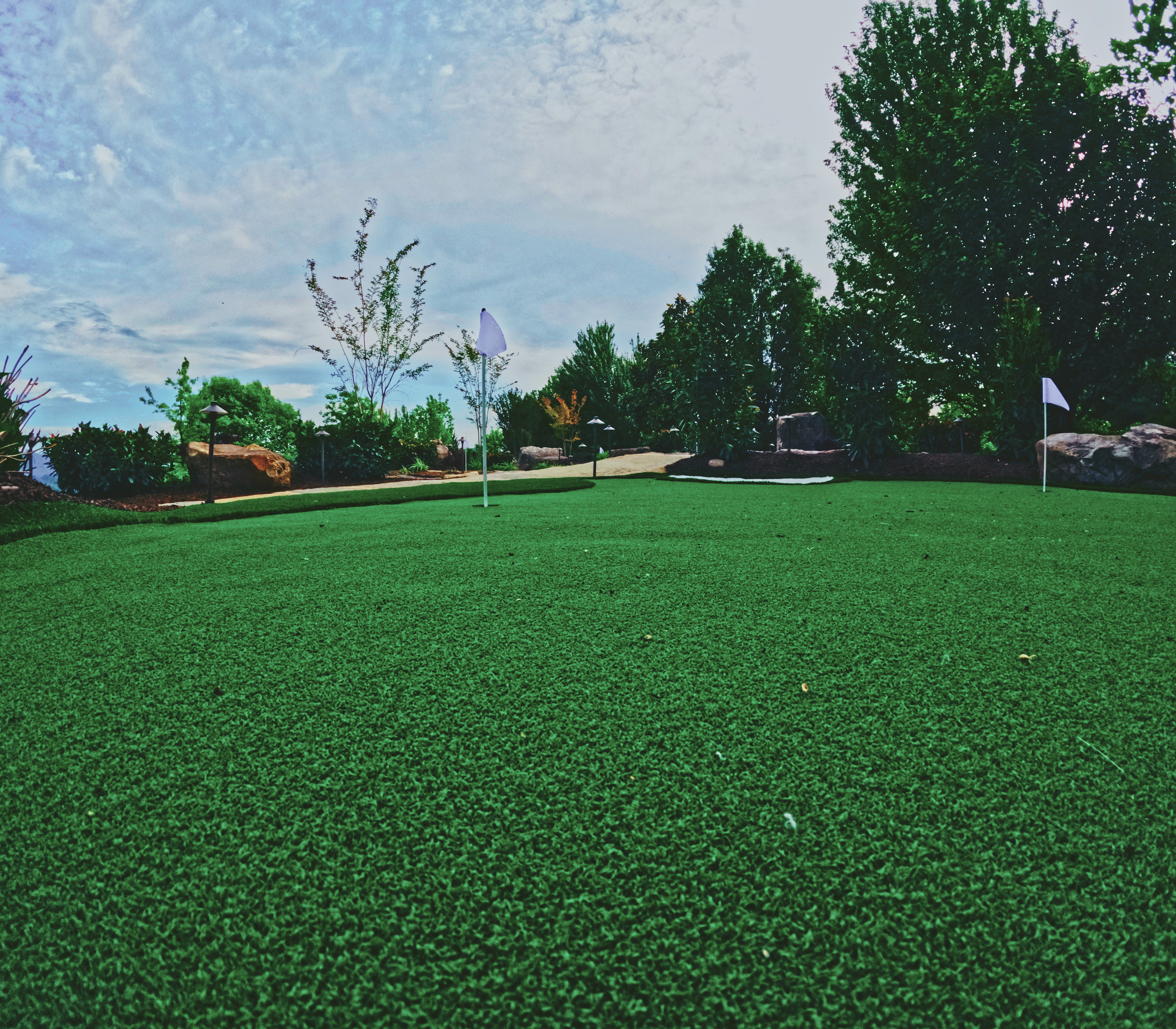 Finished putting green with clean cup and flag details.