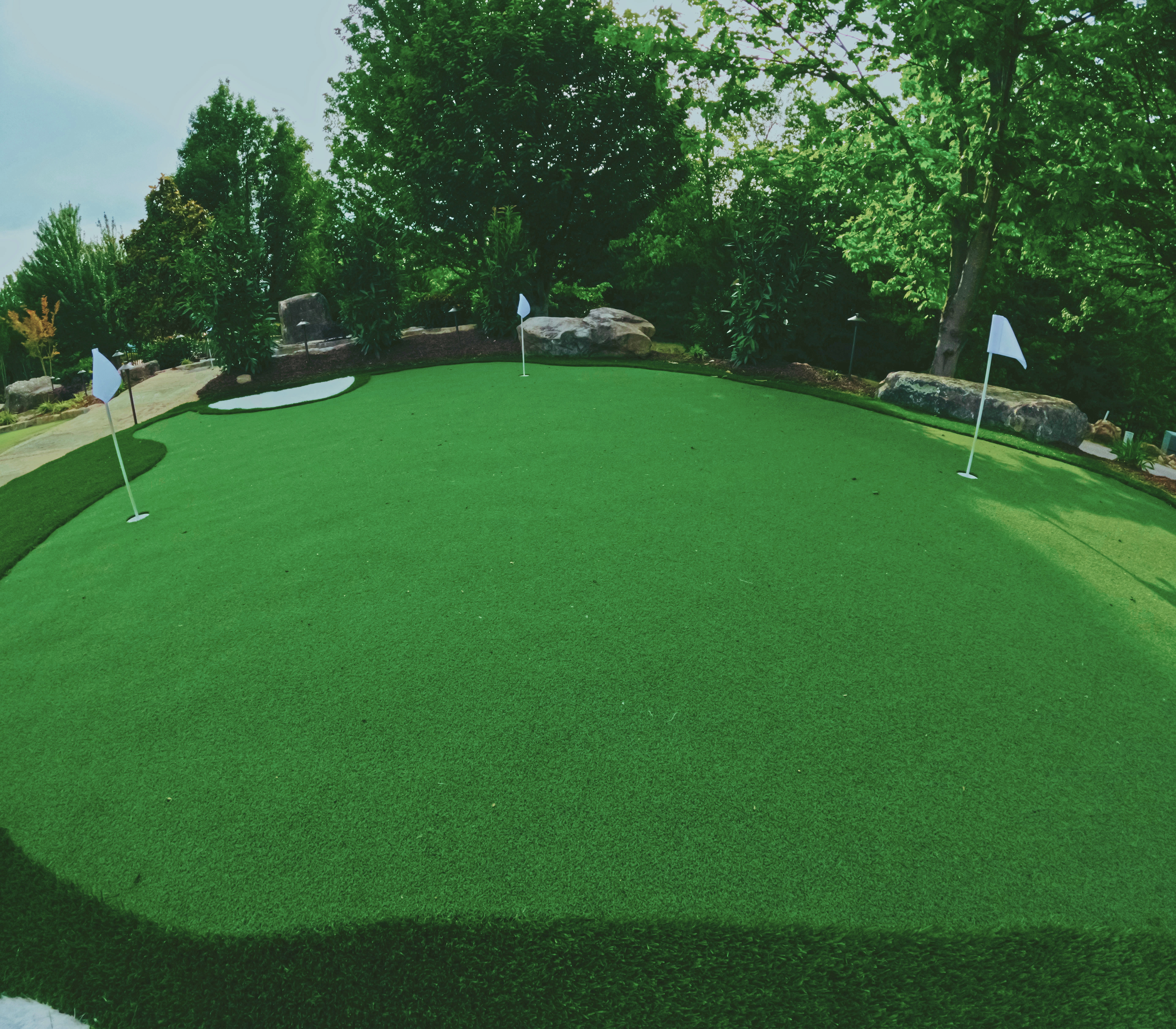 Custom putting green with multiple flag locations and natural-edge shaping.